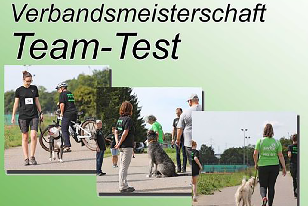 Mehrere kleine Bilder von Hunden und Ihren Führern, darüber ist der Text Verbandsmeisterschaft Team-Test zu lesen