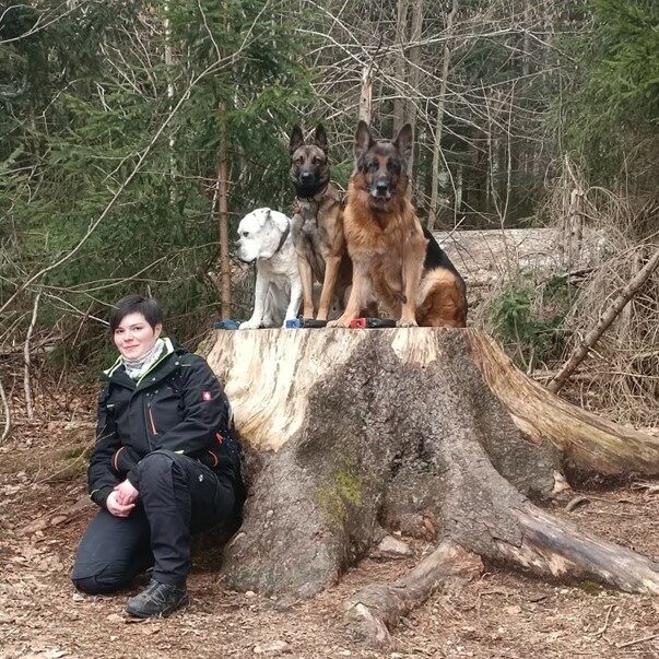Hundetrainerin Hundesportverein Kaiserslautern e. V. Jennifer Gimbel mit ihren 3 Hunden im Wald