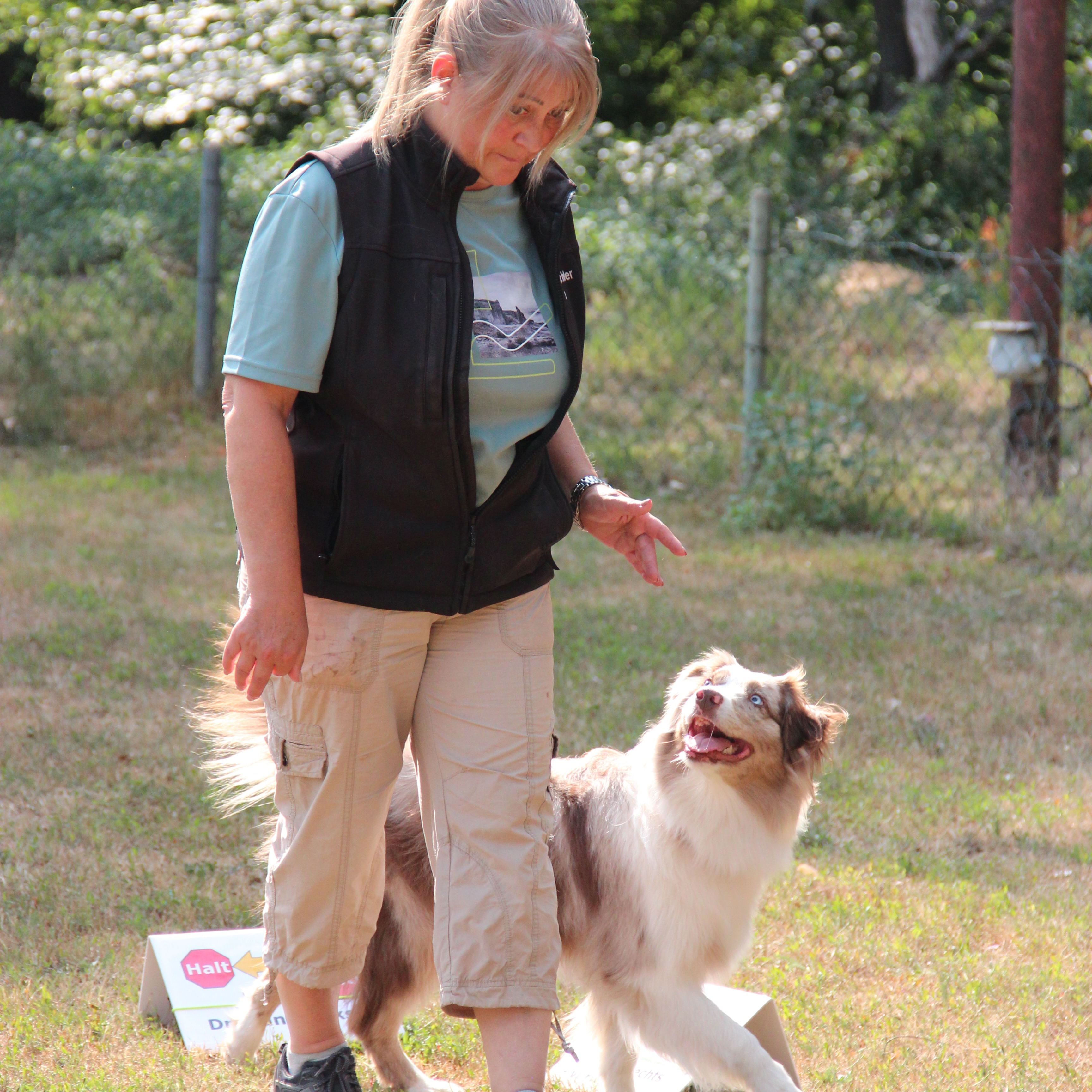 Hundetrainerin Sandra Voigt mit Ihrem Hund beim Training